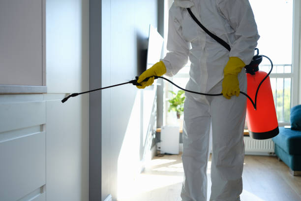 Mold Testing and Removal in Farmersville, CA