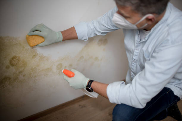 Best Crawl Space Mold Removal  in Farmersville, CA