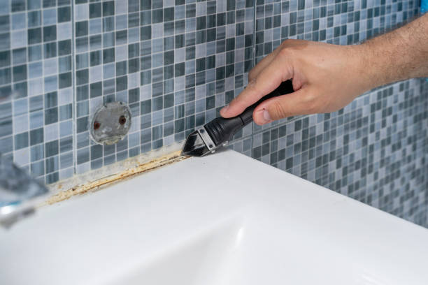 Best Home Mold Removal  in Farmersville, CA
