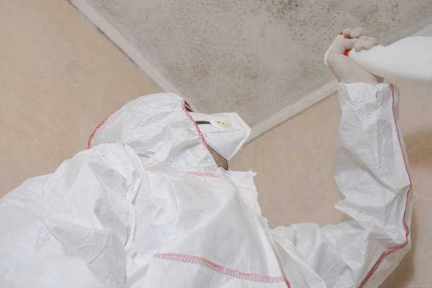 Best Best Mold Removal Companies  in Farmersville, CA