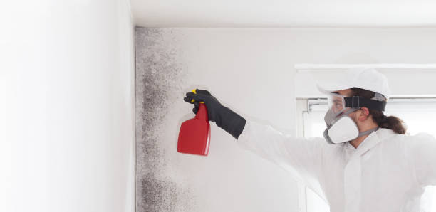 Best Mold Damage Repair  in Farmersville, CA