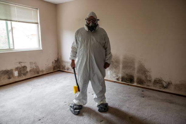 Best Affordable Mold Removal  in Farmersville, CA