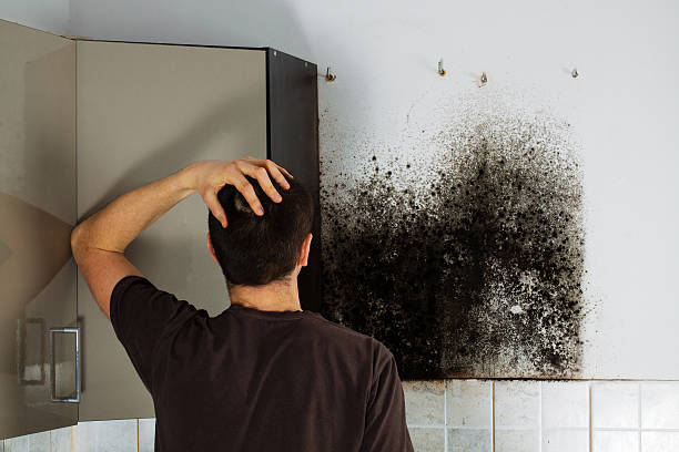 Best Professional Mold Removal  in Farmersville, CA